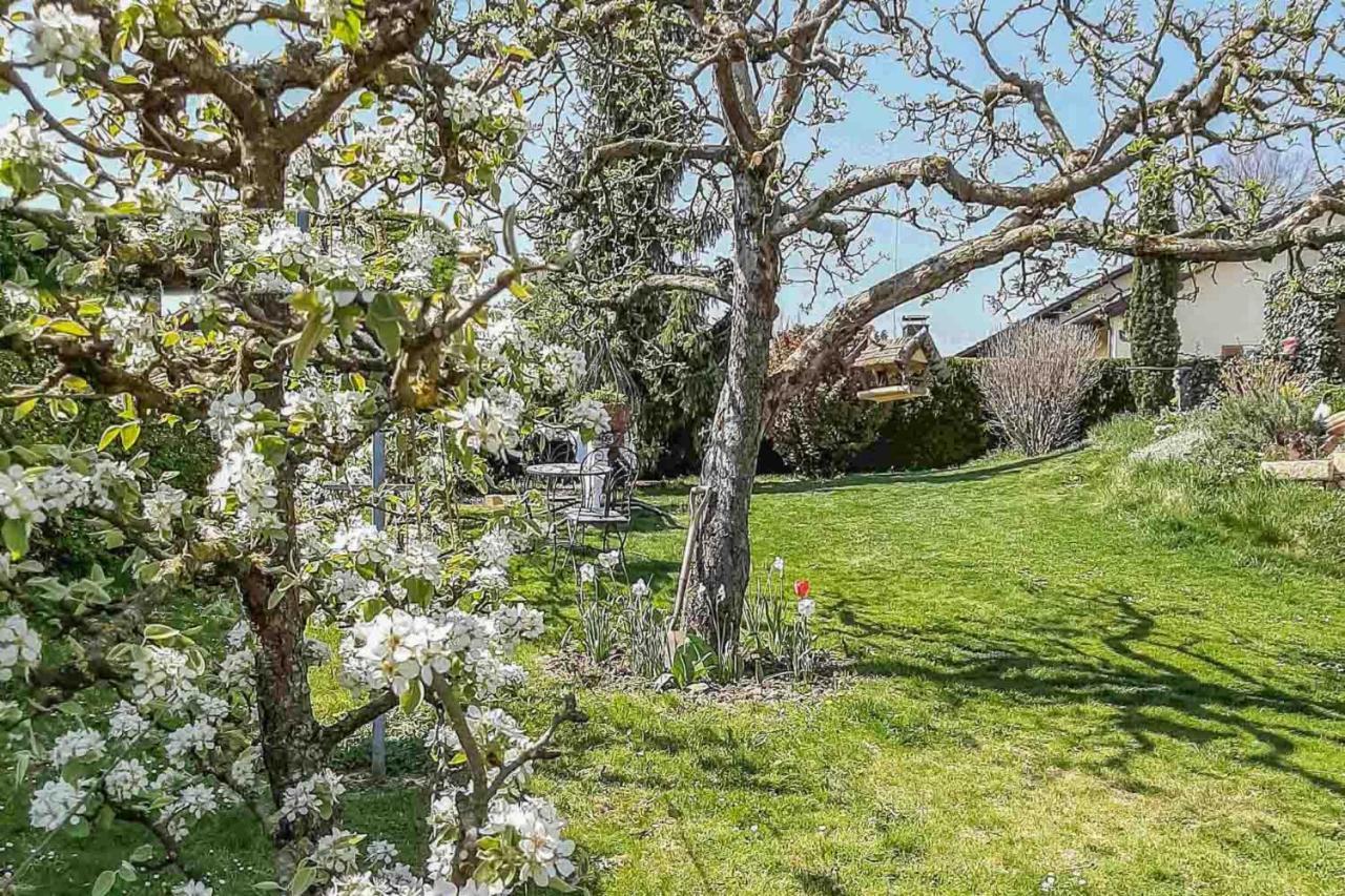 Ferienwohnung Am Hasenweg Ruhstorf an der Rott Εξωτερικό φωτογραφία